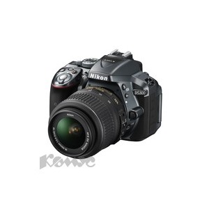 Фотоаппарат Nikon D5300 kit 18-55 VRII (Gray)