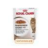 Влажный корм RC Ageing для кошек (старше 12 лет) кусочки в желе (85 гр)