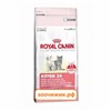 Сухой корм Royal Canin Kitten для котят (от 4 до 12 месяцев) (2 кг)