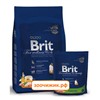Сухой корм Brit Premium Сat Sterilised для кошек (для стерилизованных) (800 гр) (3919)