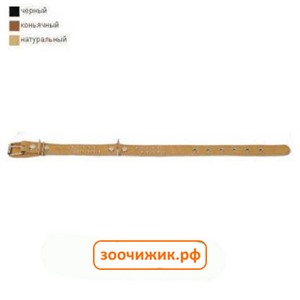 Ошейник Аркон коричневый с подкладкой для собак (25мм, 40-54см)