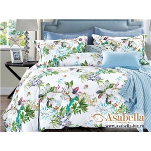 Комплект постельного белья Asabella 185 (размер евро)