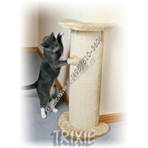 TRIXIE Когтеточка угловая `Lorca` 37х27х75 см с игрушкой,бежевая