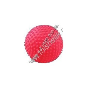 ЗООНИК Игрушка Мяч игольчатый 5,3 см (N1)