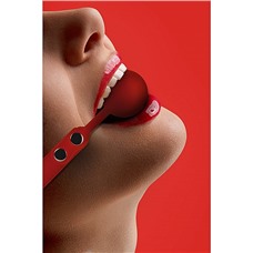 Кляп OUCH Red SH-OU233RED