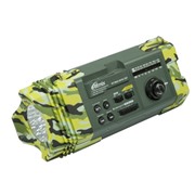 Радиоприемник Ritmix RPR-707