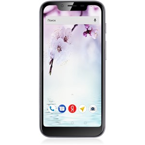 Сотовый телефон FLY View Max Graphite_A