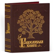 Родословная книга Изысканная эко-кожа с золотой росписью (подар.упак) 