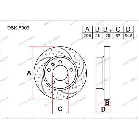 DSKF009