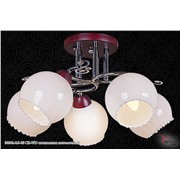  Reluce 30904-0.3-05 CR-WD светильник потолочный