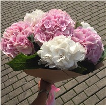 Букет из 5 гортензий