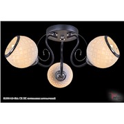  Reluce 31006-0.3-03A CR BK светильник потолочный