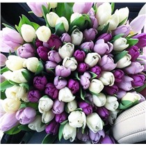 Букет микс из 75 тюльпана