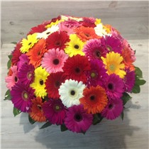 Корзина из 39 шт герберы