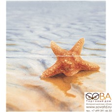 Панно Starfish 1 ( из 2-х шт) 50х45 купить по лучшей цене в интернет магазине стильных обоев Сова ТД. Доставка по Москве, МО и всей России