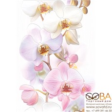 Декор Tropicana  Orchids (TC2M051DT) 25х35 купить по лучшей цене в интернет магазине стильных обоев Сова ТД. Доставка по Москве, МО и всей России