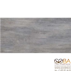 Плитка Pandora  настенная Grey 31,5x63 купить по лучшей цене в интернет магазине стильных обоев Сова ТД. Доставка по Москве, МО и всей России