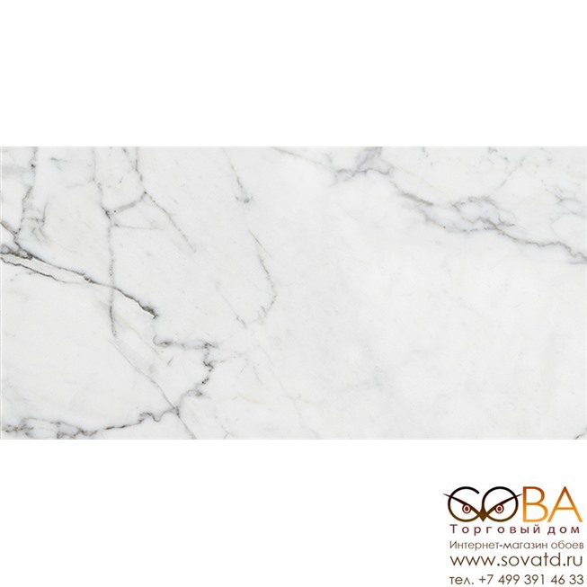 Керамогранит Marble Trend  K-1000/MR/30x60 Carrara купить по лучшей цене в интернет магазине стильных обоев Сова ТД. Доставка по Москве, МО и всей России