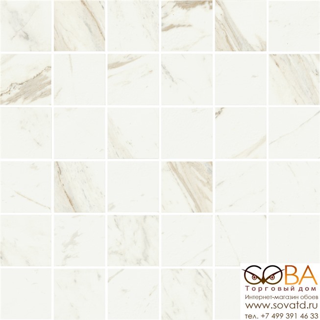 Мозаика Coliseumgres Trevi White Mosaico Nat (30x30)см 610110000738 (Россия) купить по лучшей цене в интернет магазине стильных обоев Сова ТД. Доставка по Москве, МО и всей России