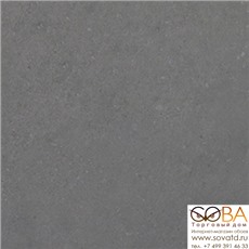 Плитка Tao Grey  базовая 310G2371L1 31x31x0,9 купить по лучшей цене в интернет магазине стильных обоев Сова ТД. Доставка по Москве, МО и всей России