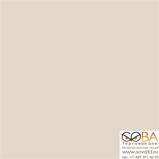 Керамогранит PY000M / А600 / V6000  (бежевый)  полированный 60х60 купить по лучшей цене в интернет магазине стильных обоев Сова ТД. Доставка по Москве, МО и всей России