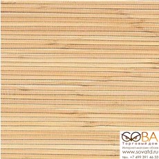 Обои Rasch 215495 Vista купить по лучшей цене в интернет магазине стильных обоев Сова ТД. Доставка по Москве, МО и всей России