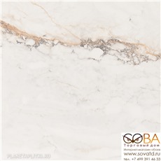 Керамогранит Pamesa  Cr.Pisa Gold (Leviglass) 60 x 60 купить по лучшей цене в интернет магазине стильных обоев Сова ТД. Доставка по Москве, МО и всей России