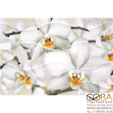 Плитка Энигма 3  настенная тип 1 27,5х40 купить по лучшей цене в интернет магазине стильных обоев Сова ТД. Доставка по Москве, МО и всей России