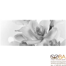 Панно Элегия 7  тип-3 20х50 купить по лучшей цене в интернет магазине стильных обоев Сова ТД. Доставка по Москве, МО и всей России