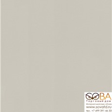 Обои Rasch 806823 Salsa | Denzo 2 купить по лучшей цене в интернет магазине стильных обоев Сова ТД. Доставка по Москве, МО и всей России