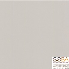 Обои Erismann Basic 60164-05 купить по лучшей цене в интернет магазине стильных обоев Сова ТД. Доставка по Москве, МО и всей России