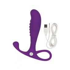 Анальный вибромассажер EMBRACE TAPERED PROBE PURPLE4620-15BXSE