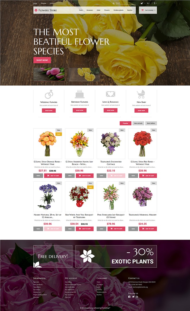 design preview
